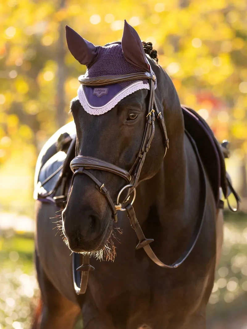 LeMieux Loire Fly Hood - Juniper-1