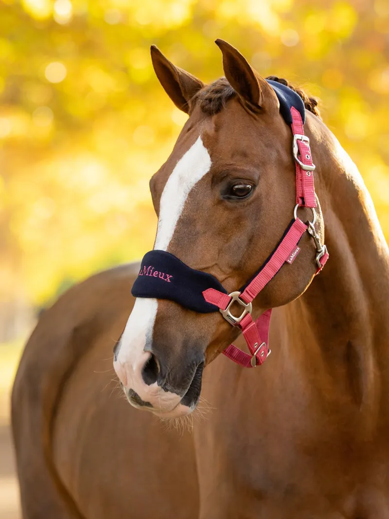 LeMieux Vogue Headcollar and Leadrope Cranberry