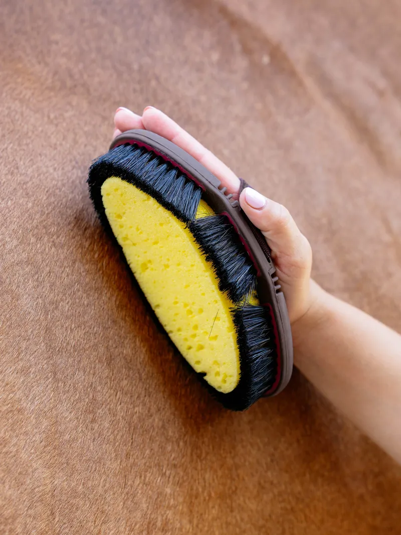 LeMieux Flexi Sponge Brush - Cranberry-1