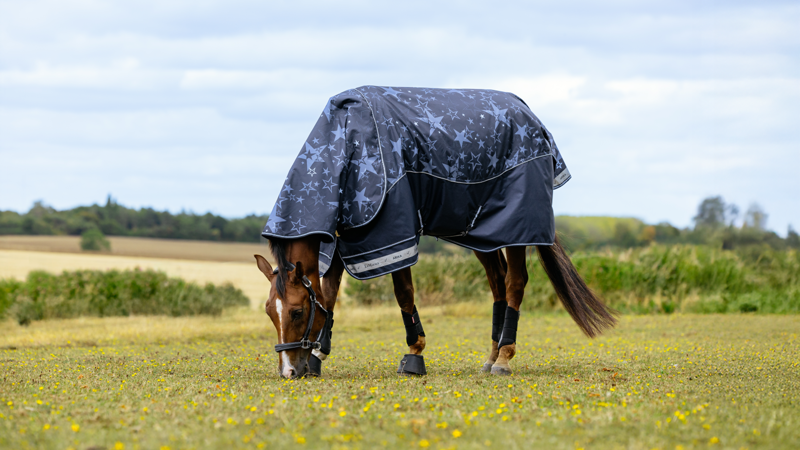 LeMieux Arika Star 100g Turnout Rug - Navy Star