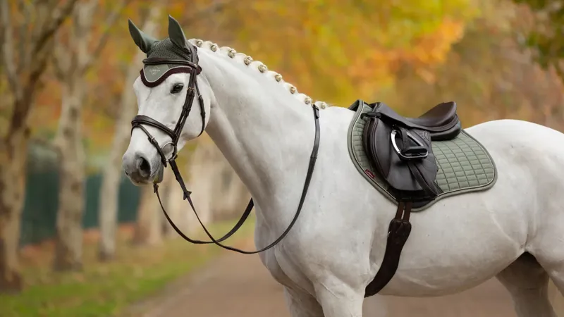 LeMieux Suede Close Contact Square - Rosemary-2