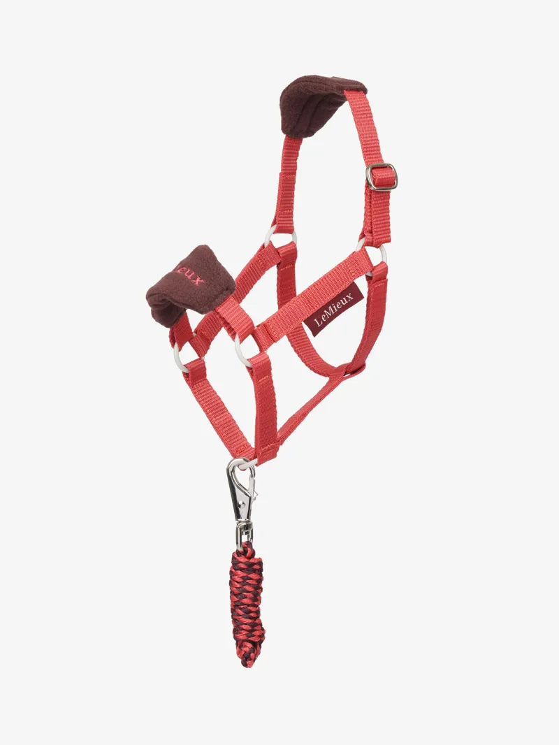 LeMieux Hobby Horse Vogue Headcollar and Leadrope - Cranberry