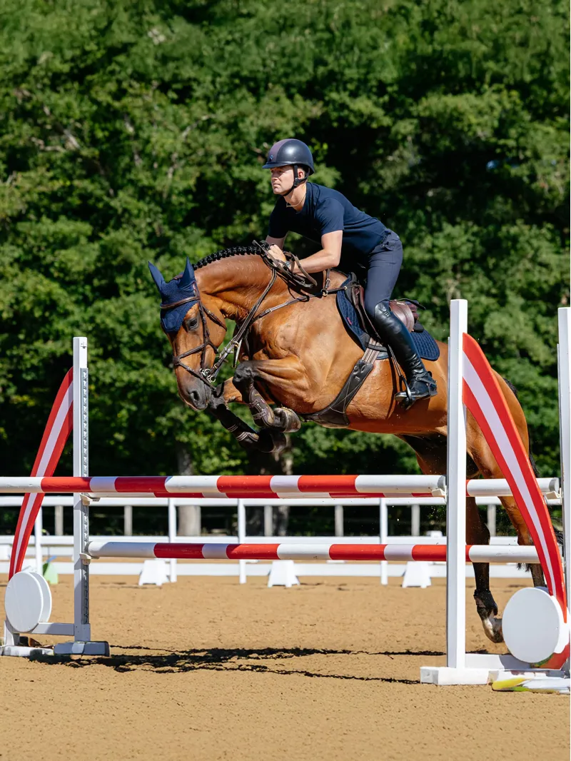 LeMieux Suede Close Contact Square - Navy-1