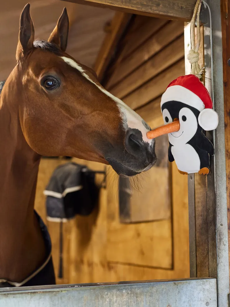 LeMieux Horse Toy - Penguin-1