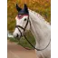 LeMieux Loire Fly Hood - Navy/Cranberry