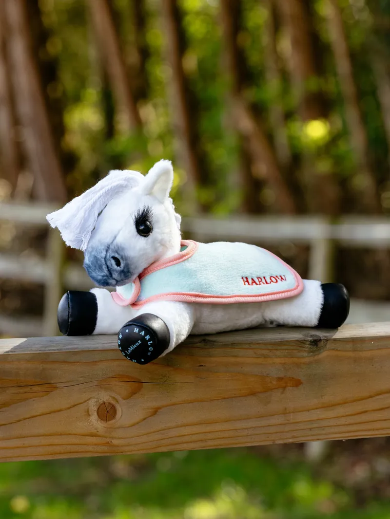 LeMieux Harlow Tiny Rugs 2 pack Mint Coral Crush-1