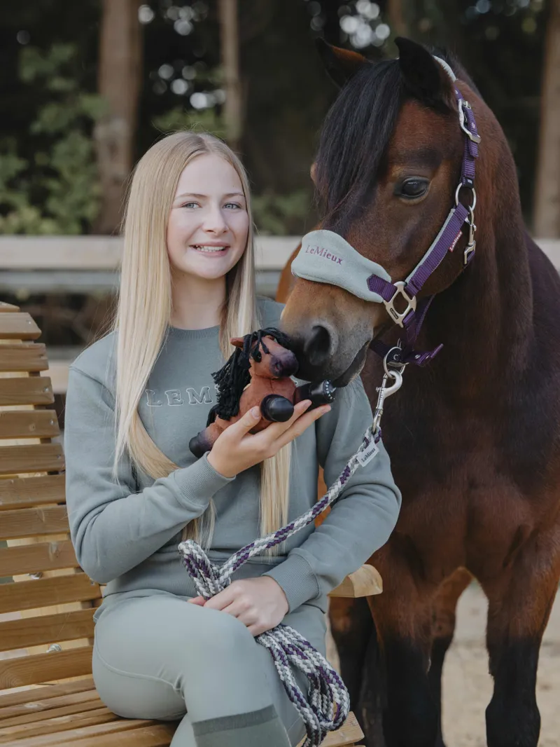 LeMieux Harlow Tiny Beanie Pony Rolo-1