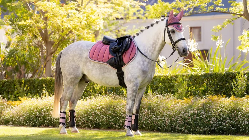 LeMieux Loire Classic Close Contact Square Peony-2