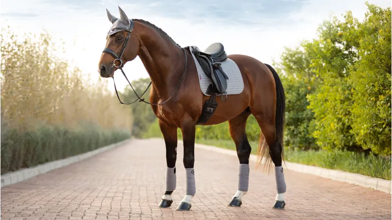 LeMieux Suede Dressage Square - Grey - Large-3