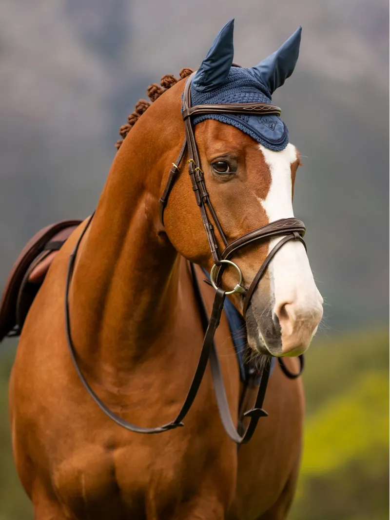 LeMieux Classic Fly Hood Atlantic-1