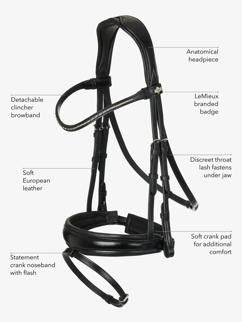 LeMieux Kudos Classic Dressage Bridle-5