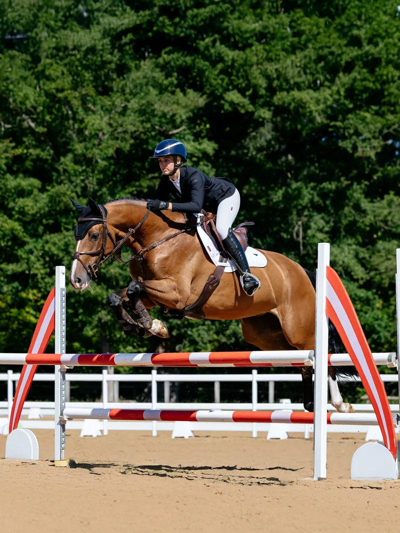 LeMieux Loire Classic Close Contact Square - White - Large-1