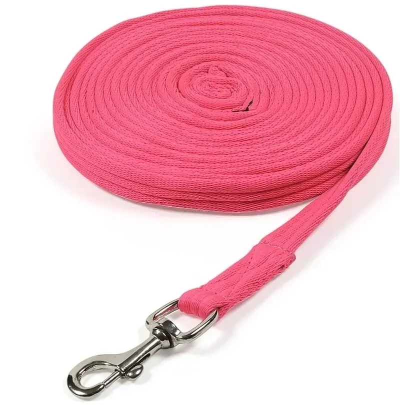 Shires ARMA Cushion Web Lunge Line In Raspberry 8m/26ft