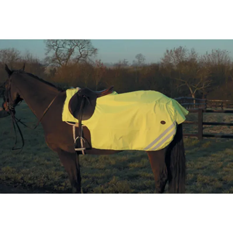 Mark Todd Reflective Fleece Lined Sheet In Yellow